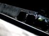 Panthera Team debutterà in F1 nel 2022?